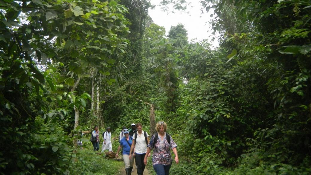 Denise, an anthropologist with the CDC, responds to an Ebola outbreak in Nov. 2014. A line of people walk down a path in a jungle area