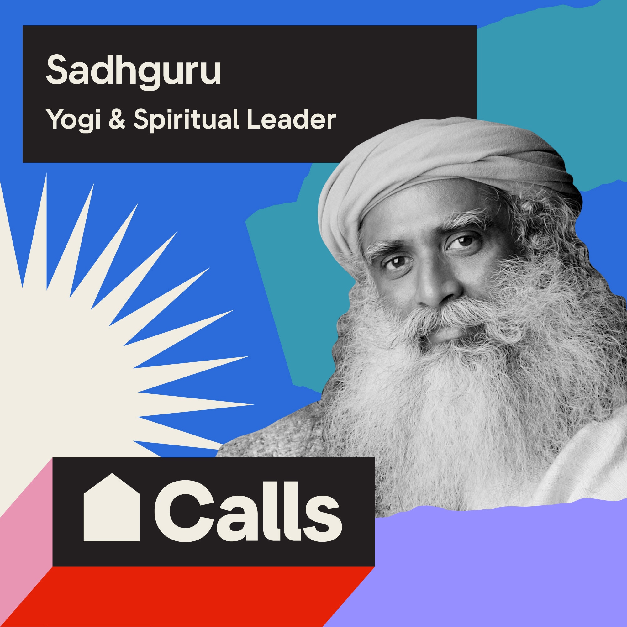 Headshot of Sadhguru