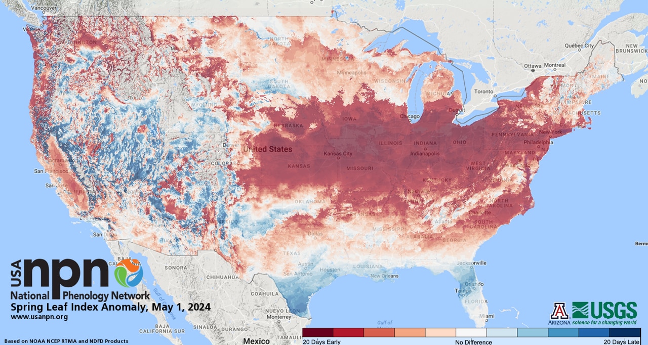 This map from the USA National Phenology Network (USA-NPN) shows when springtime activity in plants typically began over the last 30 years based on pollen monitoring stations certified by the American Academy of Allergy, Asthma & Immunology National Allergy Bureau. The start of spring occurs on the date when enough heat has accumulated to initiate growth (leafing and flowering) in temperature-sensitive plants.
