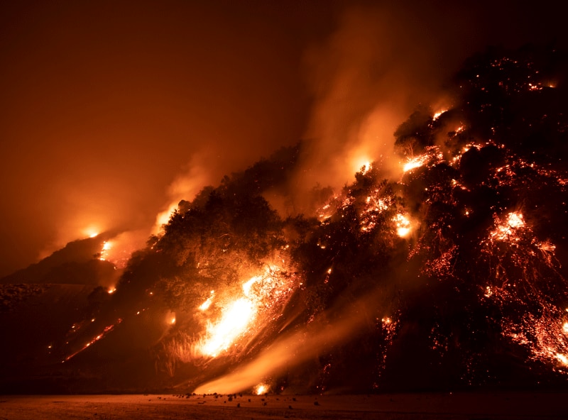 Image of forest engulfed in red flames at night.